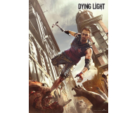 Good Loot Dying light 1: Crane’s fight puzzles 1000 - 586041 - zdjęcie 2